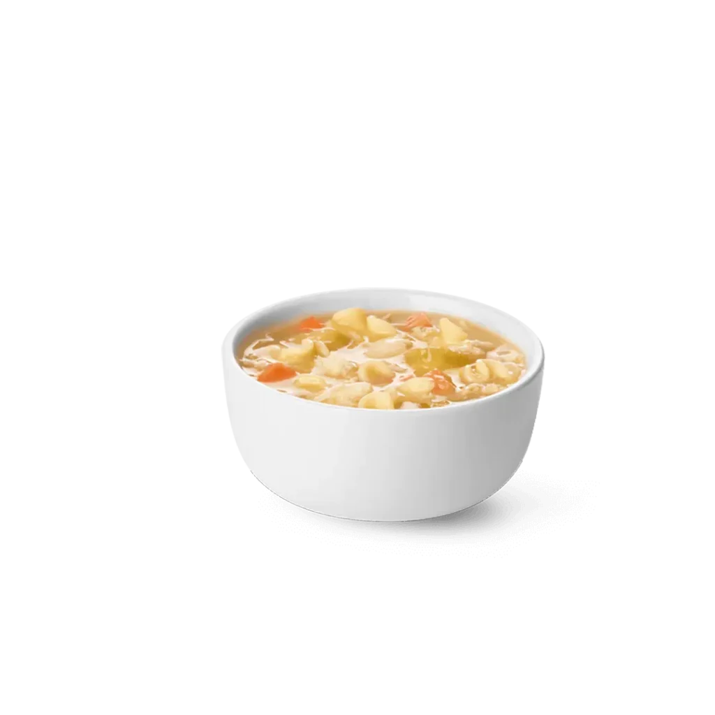 Chicken Noodle Soup